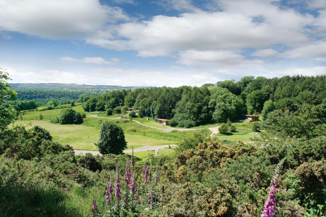 Yorkshire Dales Lodge 4 Family 3 Bed Richmond  Exterior foto